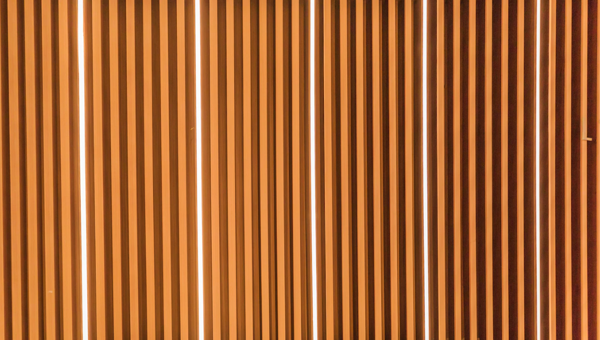 WS2